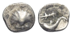 Kalabrien. Tarent.

 1/20 Stater (Silber). Ca. 325 - 280 v. Chr.
Vs: Muschel.
Rs: Delfin nach rechts schwimmend, darunter Blitzbündel.

7 mm. 0,...