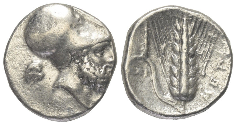 Lukanien. Metapont.

 Nomos (Silber). Ca. 340 - 330 v. Chr.
Vs: Kopf des Leuk...