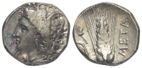 Lukanien. Metapont.

 Nomos (Silber). Ca. 330 - 290 v. Chr.
Vs: Kopf der Demeter mit Ährenkranz links.
Rs: Getreideähre; im Feld links Gabel, daru...