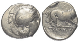 Lukanien. Velia.

 Stater oder Didrachme (Silber). Ca. 340 - 334 v. Chr.
Vs: Kopf der Athena mit attischem Helm mit Greif verziert rechts.
Rs: Löw...