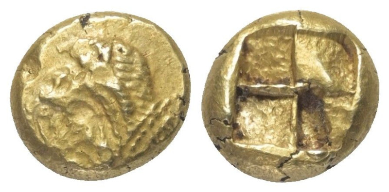 Bithynien. Herakleia Pontika.

 1/6 Stater bzw. Hekte (Elektron). Ca. 530 - 52...