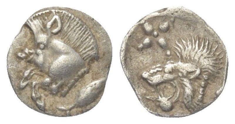 Mysien. Kyzikos.

 Hemiobol (Silber). Ca. 450 - 400 v. Chr.
Vs: Vorderteil ei...