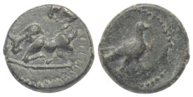 Pisidien. Komama.

 Bronze. 2. - 1. Jhdt. v. Chr.
Vs: Zeburind nach links liegend.
Rs: Adler nach rechts stehend.

16 mm. 3,51 g. 

von Aulock...