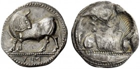 GREEK COINS 
 Sybaris 
 Nomos circa 550-510, AR 7.83 g. Bull standing l. on dotted exergual line, looking backward; in exergue, VM. Rev. The same ty...