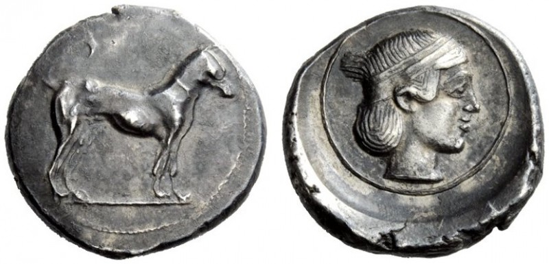 GREEK COINS 
 Segesta 
 Didrachm circa 440-416, AR 8.59 g. Hound standing r. R...
