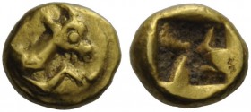 GREEK COINS 
 Ionia, uncertain mint 
 Phocaic 1/24 stater circa 550 BC, EL 0.65 g. Forepart of stag r. Rev. Square punch irregularly divided.
 Appa...