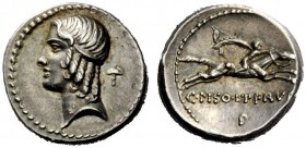THE ROMAN REPUBLIC 
 C. Calpurnius L.f. Frugi. Denarius 67, AR 4.01 g. Head of Apollo l., hair bound with fillet; behind, hammer. Rev. Horseman gallo...