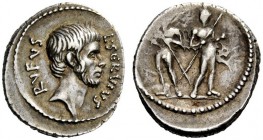 THE ROMAN REPUBLIC 
 L. Servius Rufus. Denarius 43, AR 3.82 g. L·SERVIVS – RVFVS Male head (Brutus) r. Rev. Dioscuri standing facing, both holding sp...