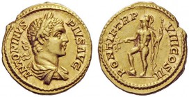THE ROMAN EMPIRE 
 Caracalla, augustus 198 – 217 
 Aureus 205, AV 7.09 g. ANTONINVS – PIVS AVG Laureate and draped bust r. Rev. PONTIF TR P – VIII C...