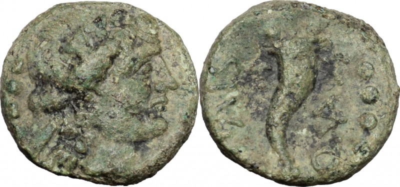 Greek Italy. Northern Lucania, Paestum. AE Triens, 218-201 BC. D/ Female head ri...