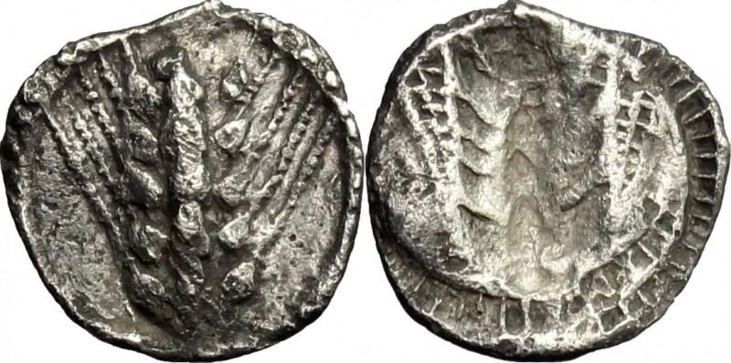 Greek Italy. Southern Lucania, Metapontum. AR Obol, c. 540-510 BC. D/ Barley-ear...