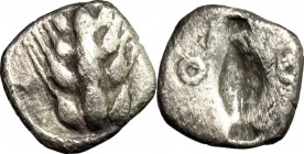 Greek Italy. Southern Lucania, Metapontum. AR Obol, 440-430 B.C. D/ Barley-ear. R/ Incuse grain of barley. Cfr. Noe 298. AR. g. 0.80 mm. 10.00 RR. VF.