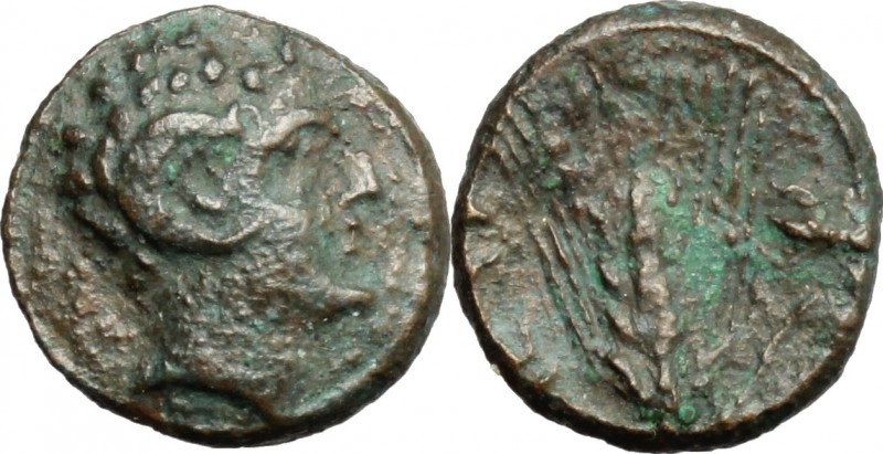 Greek Italy. Southern Lucania, Metapontum. AE 10mm, 275-250 BC. D/ Head of Herac...