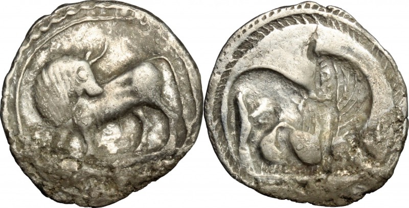 Greek Italy. Southern Lucania, Sybaris. AR Drachm, 550-510 BC. D/ Bull standing ...