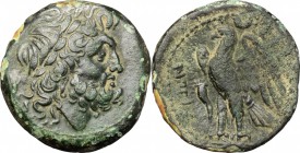 Greek Italy. Bruttium, The Brettii. AE Unit, 214-211 BC. D/ Head of Zeus right, laureate. R/ Eagle standing left on thunderbolt, wings open; before, c...