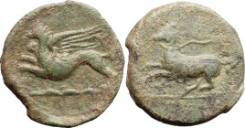 Sicily. Kainon. AE, 22 mm, ca. 365 BC. D/ Griffin springing left; below, exergual line. R/ Horse prancing left, trailing rein. CNS I, 1; SNG ANS 1173....