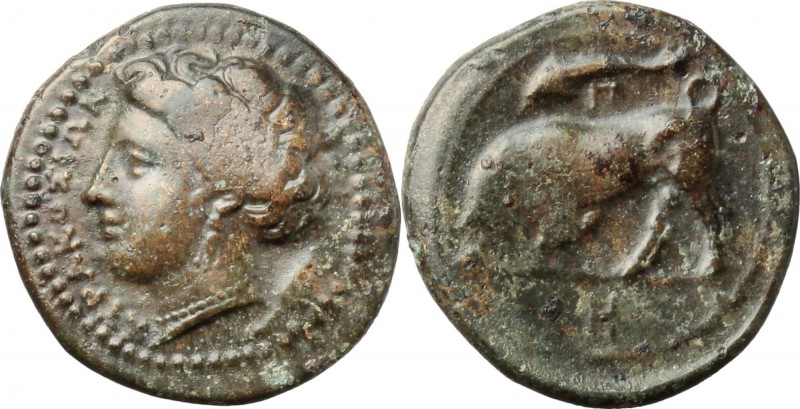 Sicily. Syracuse. Agathokles (317-289 BC). AE 17 mm, 317-289 BC. D/ Head of Pers...