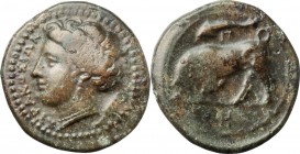 Sicily. Syracuse. Agathokles (317-289 BC). AE 17 mm, 317-289 BC. D/ Head of Persephone left; wearing wreath. R/ Bull charging left; above, dolphin, in...