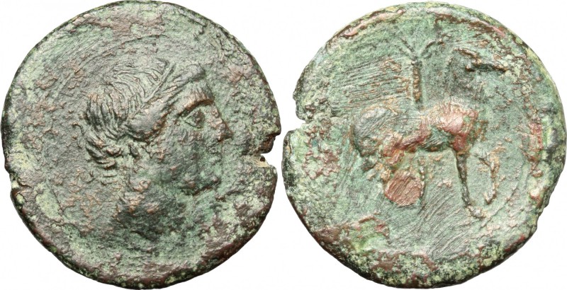 Punic Sicily. . AE 27mm, 215-205 BC. D/ Head of Tanit right. R/ Horse stepping r...