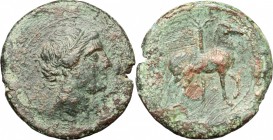 Punic Sicily. . AE 27mm, 215-205 BC. D/ Head of Tanit right. R/ Horse stepping right; behind, palm-tree. SNG Cop. 377. AE. g. 13.10 mm. 27.00 Dark gre...