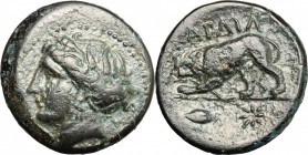 Continental Greece. Thrace, Kardia. AE 21mm, 350-309 BC. D/ Head of Persephone left, wearing wreath. R/ Lion left; in exergue, barley grain and star. ...