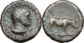Trajan (98-117). AE Quadrans, 114-117 AD. D/ Bust of Hercules right, diademed; wearing lion's skin. R/ Boar standing right. RIC 702. AE. g. 2.79 mm. 1...