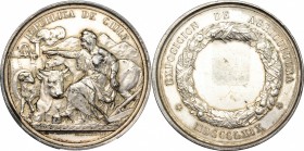 AR Prix Medal for the Exposicion de Agricultura, Chile, 1869.&nbsp;&nbsp; Obv. Field-worker with animals and tools; in the background a machine and mo...