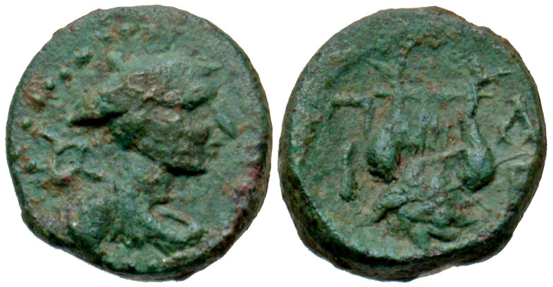 "Mysia, Parion. Ca. 2nd-1st centuries BC AE 11 (10.8 mm, 1.27 g, 11 h). Draped b...