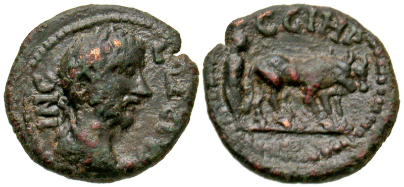 "Mysia, Parium. Gallienus. A.D. 253-268. AE 15 (15.4 mm, 2.13 g, 12 h). IN G[A]L...