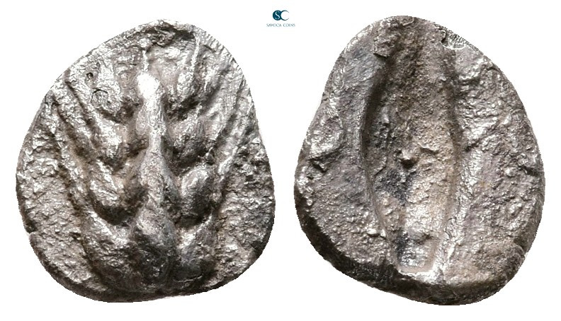 Lucania. Metapontion circa 470-440 BC. 
Diobol AR

9 mm, 0,61 g



Very F...