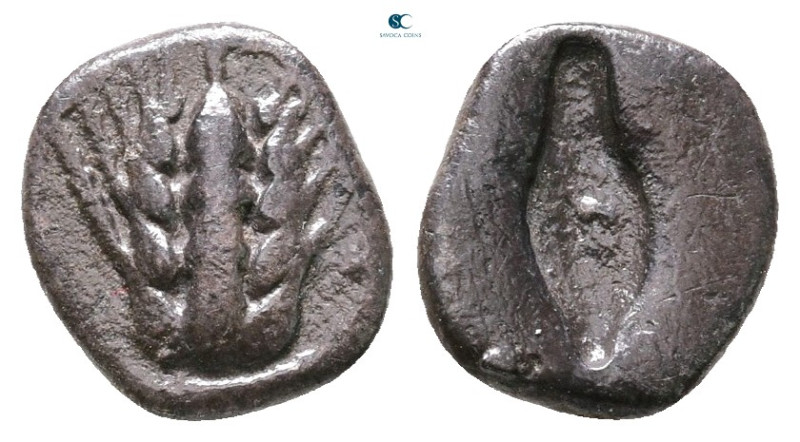 Lucania. Metapontion circa 470-440 BC. 
Diobol AR

10 mm, 0,79 g



Very ...