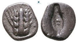 Lucania. Metapontion circa 470-440 BC. Diobol AR