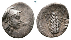 Lucania. Metapontion circa 325-275 BC. Diobol AR