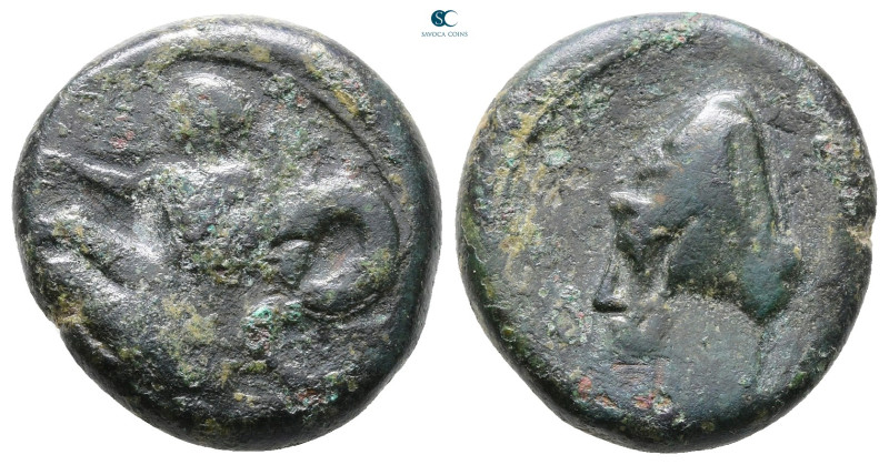 Bruttium. Skylletion circa 344-336 BC. 
Bronze Æ

20 mm, 7,07 g



Good F...