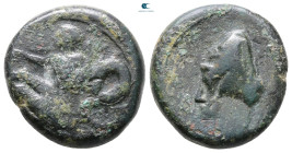 Bruttium. Skylletion circa 344-336 BC. Bronze Æ