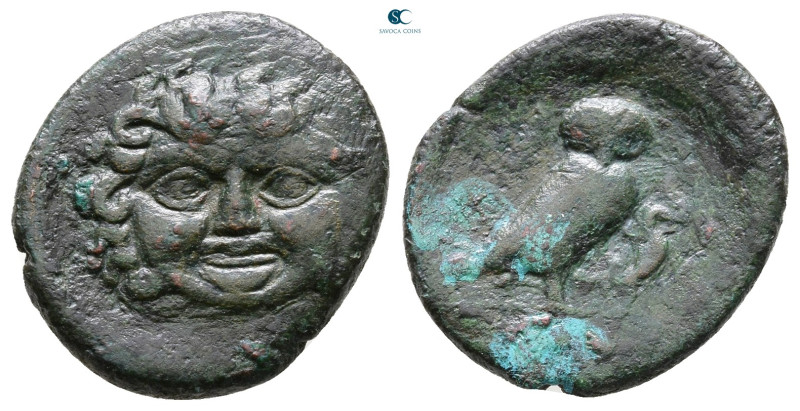 Sicily. Kamarina circa 420-400 BC. 
Bronze Æ

19 mm, 2,97 g



Nearly Ver...