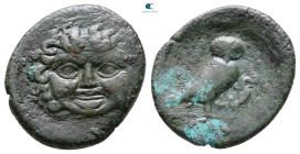 Sicily. Kamarina circa 420-400 BC. Bronze Æ