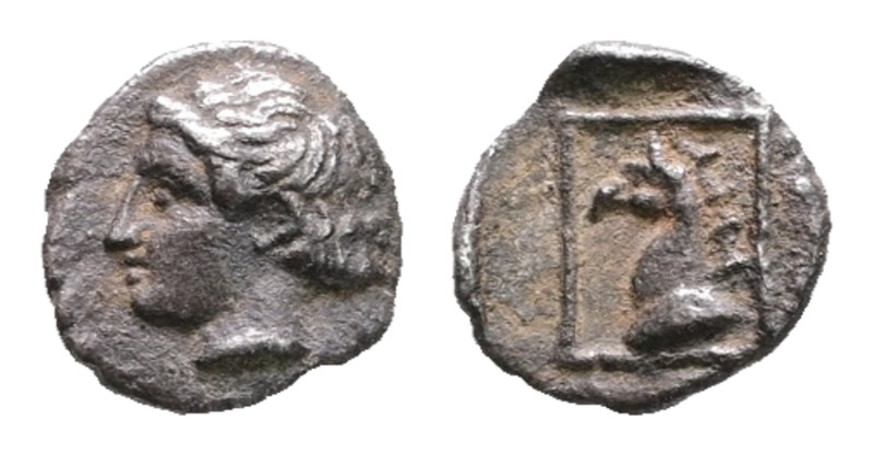 Troas. Assos circa 400-300 BC. 
Hemiobol AR

7 mm, 0,33 g



Very Fine