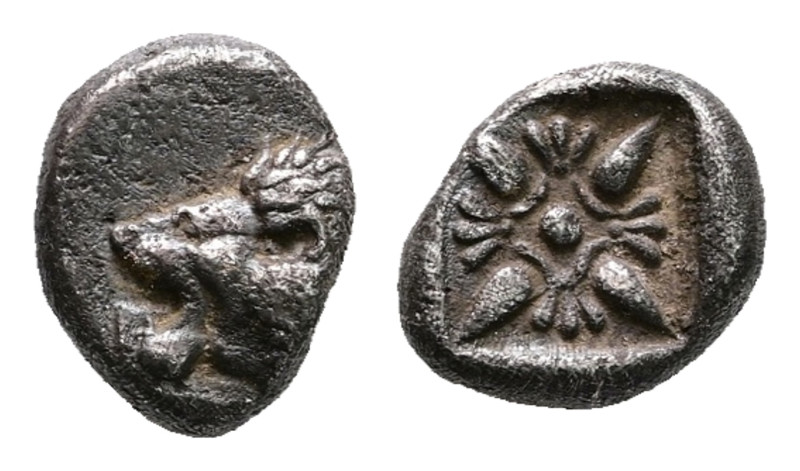 Ionia. Miletos circa 525-475 BC. 
Diobol AR

10 mm, 1,16 g



Very Fine