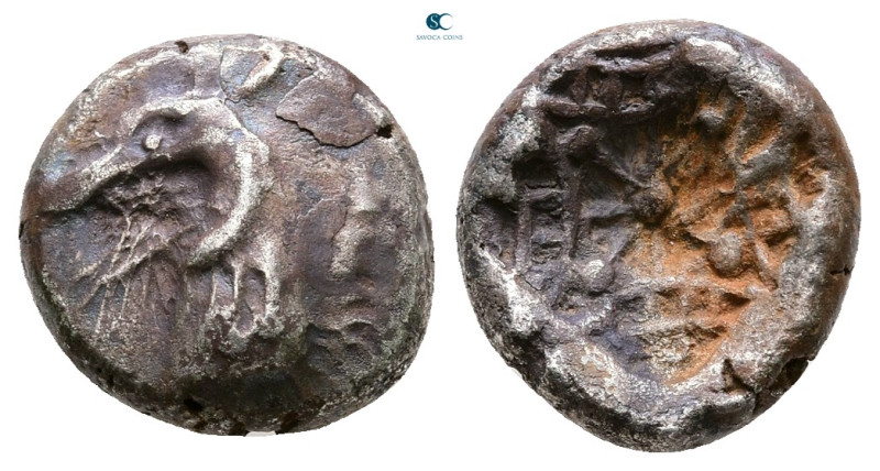 Caria. Kindya circa 510-480 BC. 
Tetrobol AR

11 mm, 1,97 g



Very Fine