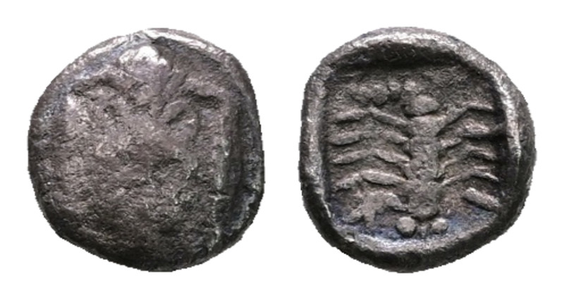 Caria. Mylasa circa 450-400 BC. 
Obol AR

7 mm, 0,51 g



Fine