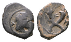 Nabataean Kingdom. Petra. Aretas IV 9 BC-AD 40. Bronze Æ