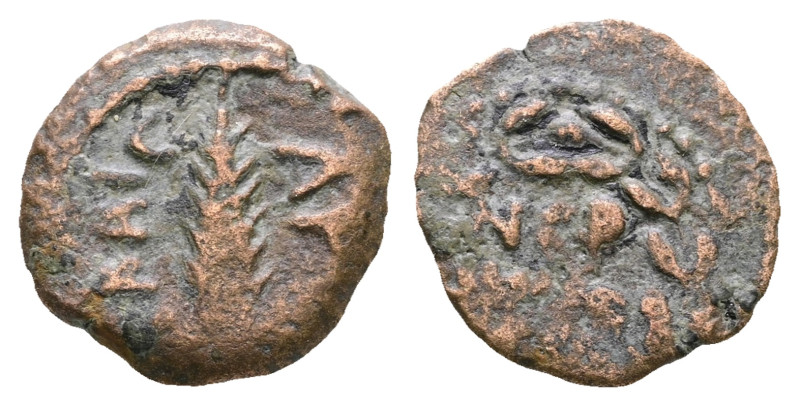 Judaea. Jerusalem. Procurators. Porcius Festus AD 59-62. 
Prutah Æ

16 mm, 2,...