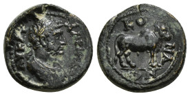 PISIDIA.Conana.Hadrian.(117-138).Ae.
Obv : ΑΥK ΑΔΡΙΑΝΟϹ.
Laureate and cuirassed bust to right. Rev : KONANЄ Zebu bull standing right. First example kn...