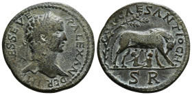 PISIDIA. Antioch. Severus Alexander (222-235). Ae.
Obv: IMP CAES SEVER ALEXANDER.
Laureate head right.
Rev: COL CAES ANTIOCH / S R.
She-wolf standing ...