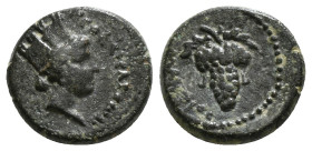 Lydia. Daldis . Pseudo-autonomous issue AD 193-211 AE.
Obv : Turreted and draped bust of Tyche right
Rev.Grape bunch. 2,79 g - 14,70 mm