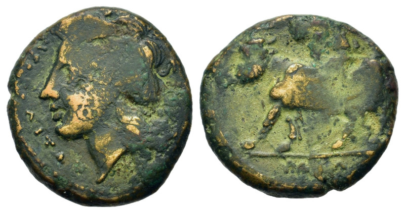 Italy. Southern Campania. Neapolis, c. 320-280 BC. Æ (16,5mm, 3.7g). Laureate he...