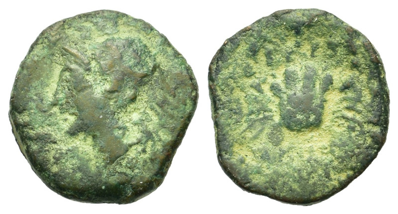 Italy. Bruttium. The Brettii, c. 216-211 BC. Æ (14,2mm, 1.80g). Horned head of r...