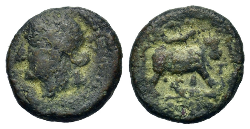 Italy. South Italy, uncertain mint, c. 280-240 BC. Æ (13mm, 1.8g). Laureate head...