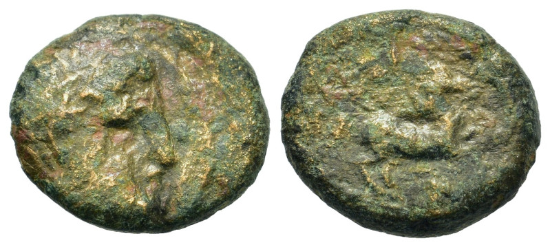 Kings of Macedon. Uncertain. Æ (18mm, 5.3g). Diademed head of Apollo r. R/ Horse...